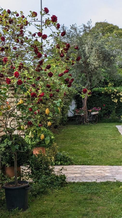 Bed & Breakfast Agli Aceri Verona Eksteriør billede